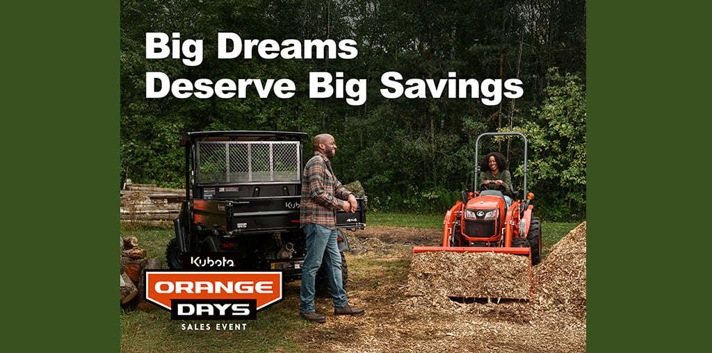 big dreams big saving